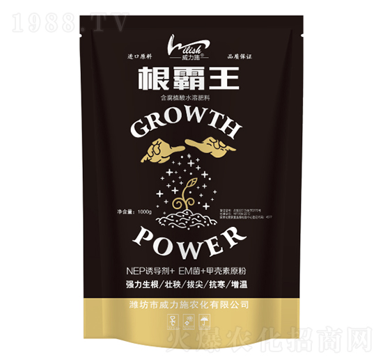 ������-����ʩ