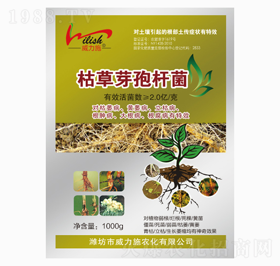 �ݲ�ѿ�ߗU��-����ʩ