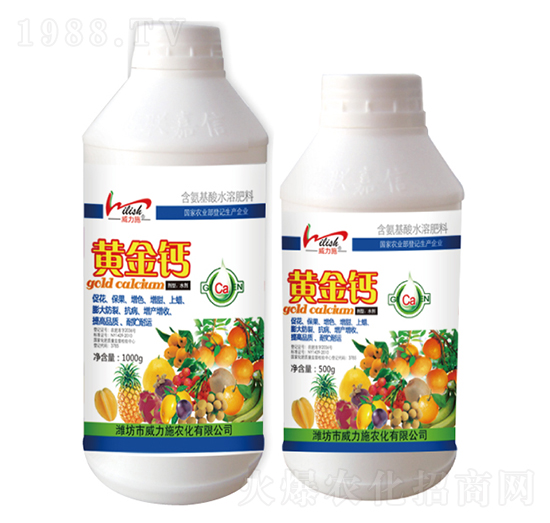 �S���}-����ʩ