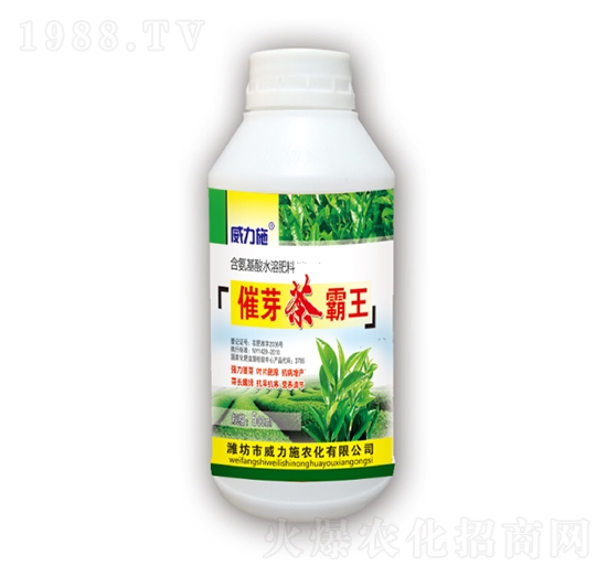 ��ѿ�����-����ʩ