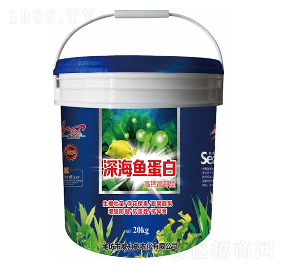 ��~����-����ʩ