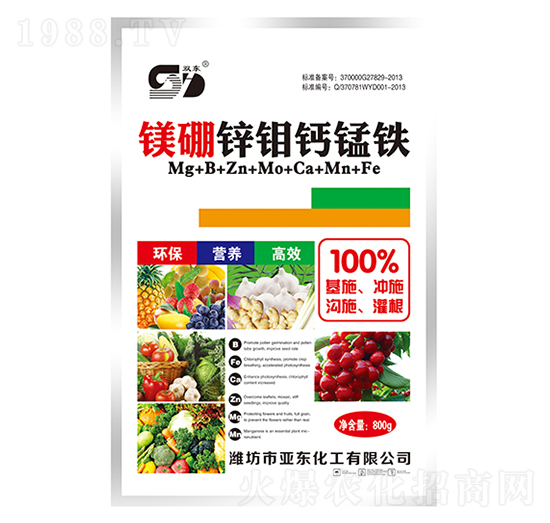 �V���\�f�}�i�F-���|����