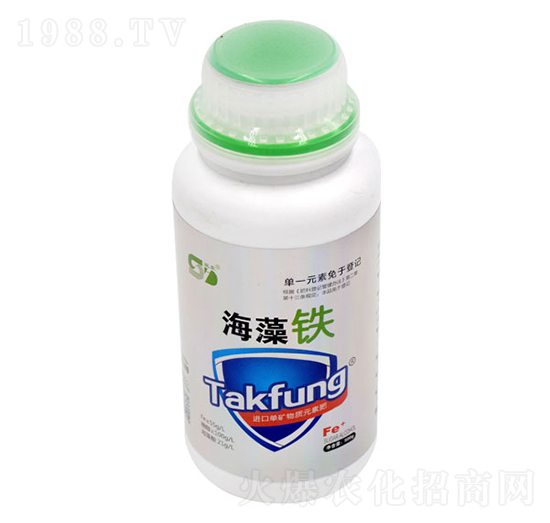 �����F-���|����