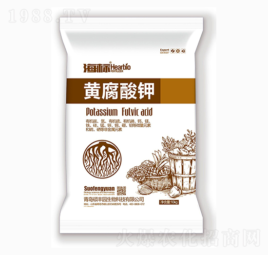 �S�����-����(bi��o)-�T�S�@