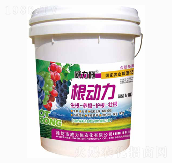 ������-����ʩ