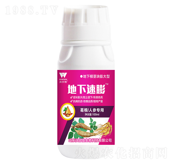 ����˅���(zhu��n)��-��������-�֠���(y��u)