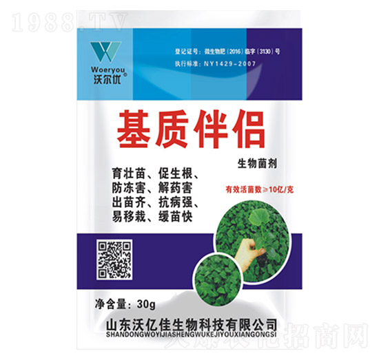 ���|(zh��)��H-�֠���(y��u)