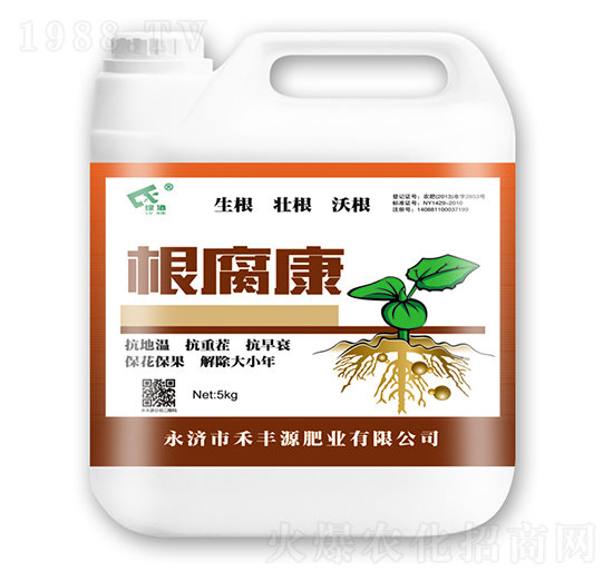 ������-���SԴ�ʘI(y��)