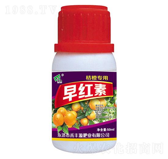 �۳Ȍ�����t��-���SԴ�ʘI(y��)