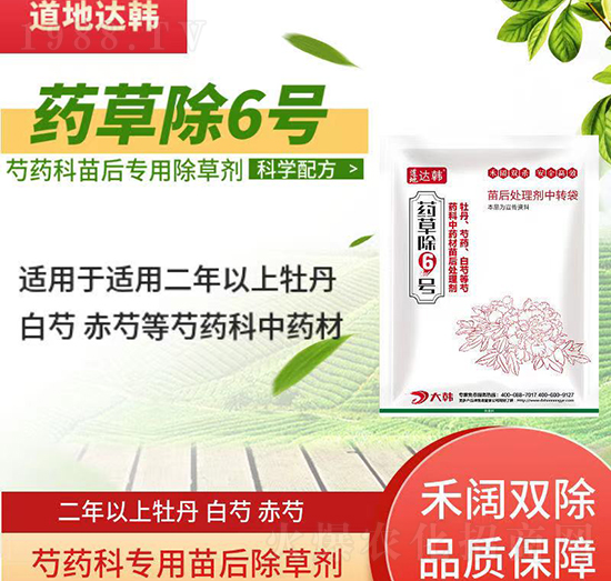 ��ˎ�Ƴ��݄�-��ˎ�����-��ˎ�ƌ���-ˎ�ݳ�6̖(h��o)-���n