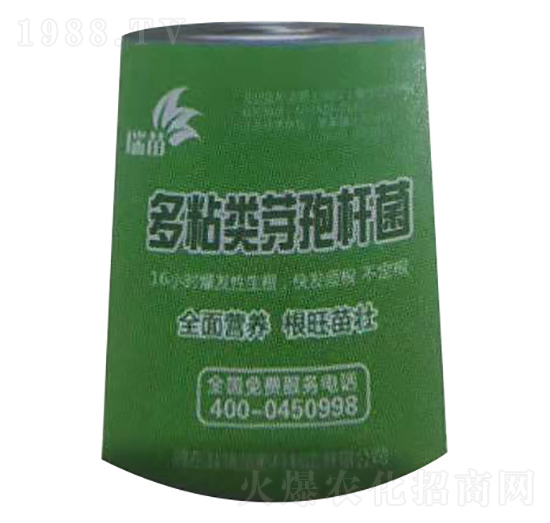 多粘類芽孢桿菌-瑞苗