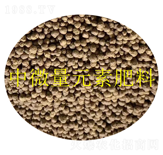 ��΢��Ԫ�ط����w��-�𝙰l(f��)����