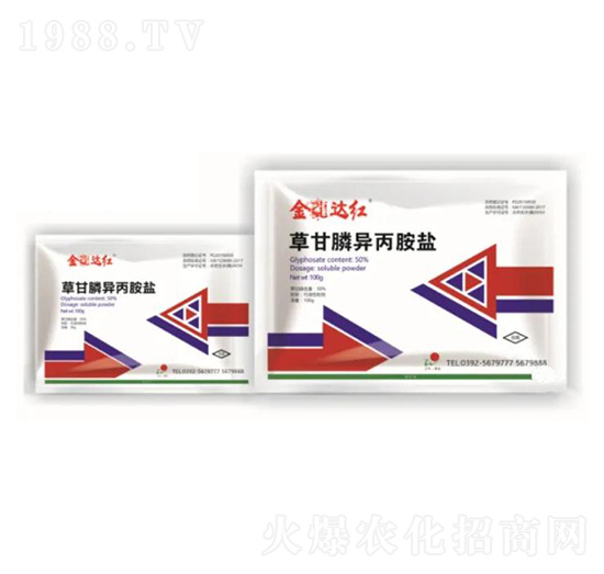 50%�ݸ�좮����@�}-�����_(d��)�t-����ꖹ�