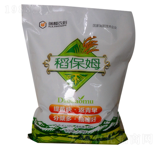 ����ķ���������-����