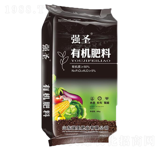 �ЙC(j��)���ϣ��ڣ�-��(qi��ng)ʥ�ʘI(y��)