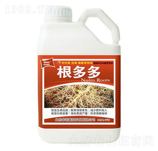 �����-�A�Z(li��n)��