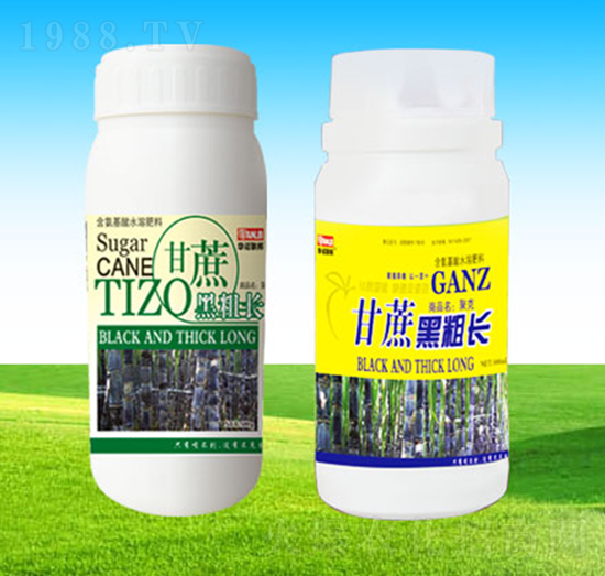 ����ڴ��L(zh��ng)-�A�Z(li��n)��