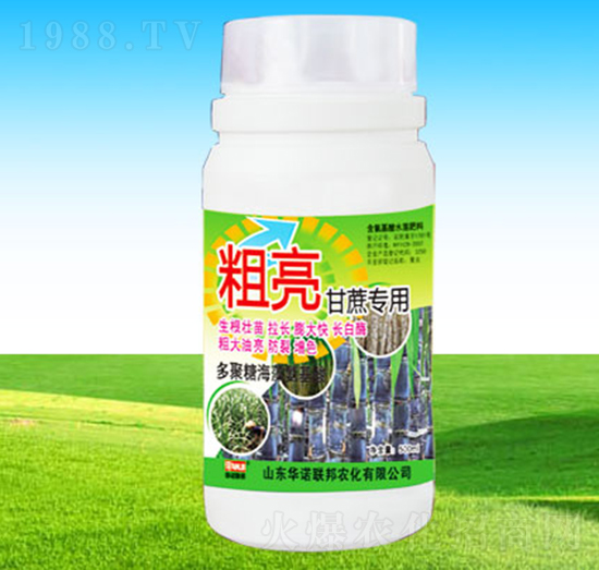 �������ጣ(zhu��n)��-�A�Z(li��n)��