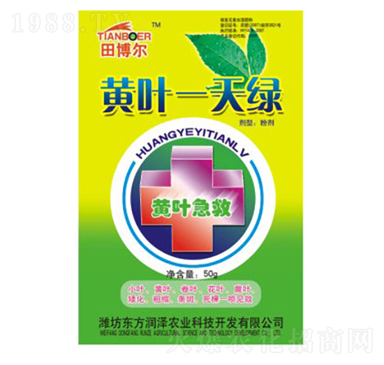 黃葉一天綠-東方潤澤