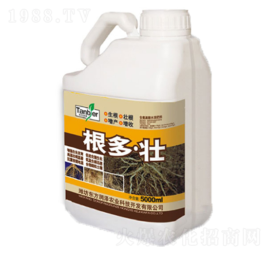 根多壯-東方潤澤