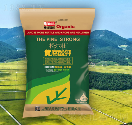 �ɠ����S�����-�A�Z��