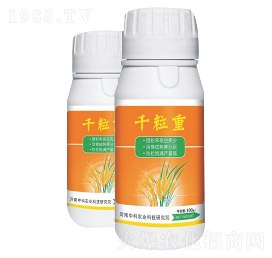 ǧ����-�п��r(n��ng)�I(y��)