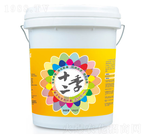 ʮ�����_ʩ��-ɭ��