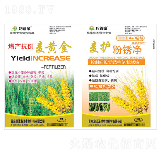 增產抗倒麥黃金+麥護粉銹凈-巧管家-潤澤