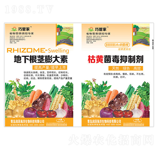 地下根莖膨大素+枯黃菌毒抑制劑-巧管家-潤澤