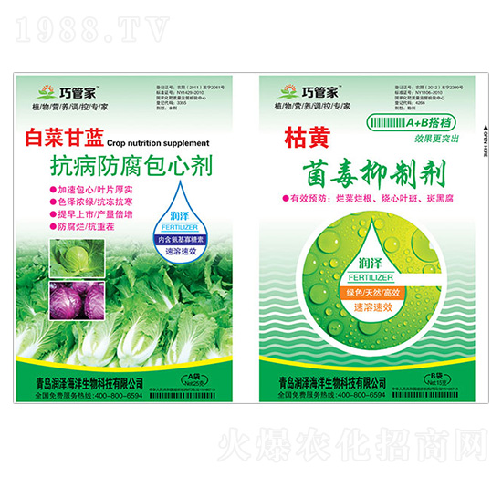 白菜甘藍(lán)抗病防腐包心劑+枯黃菌毒抑制劑-巧管家-潤(rùn)澤