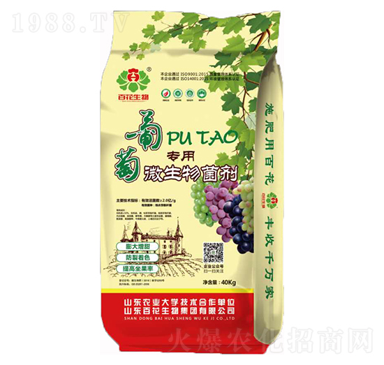 2�|���ь�(zhu��n)��΢�������-�ٻ�����