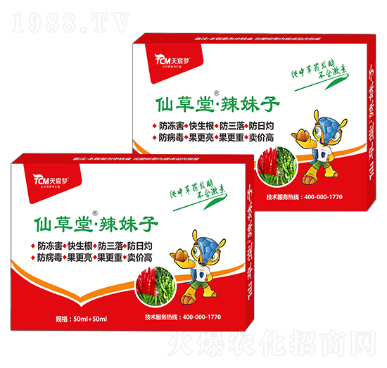 辣妹子-仙草堂-天宸夢