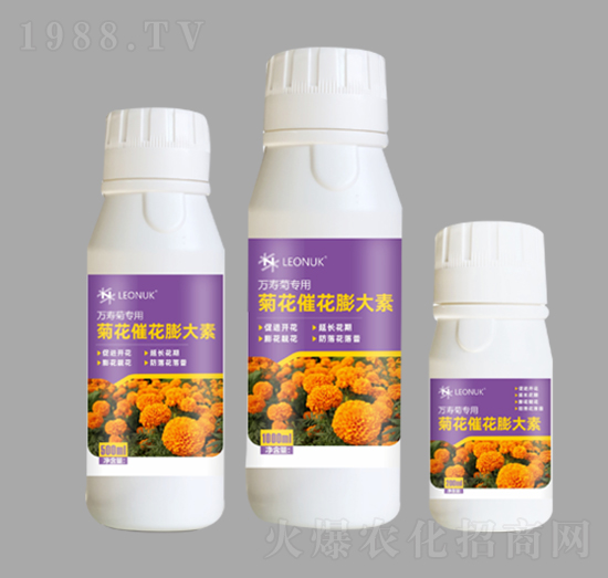 �ջ��߻�����أ��f�۾Ռ��ã�-�R�����W