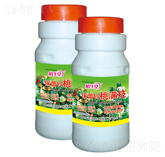 ������ҝM֦ ֲ���� �R������