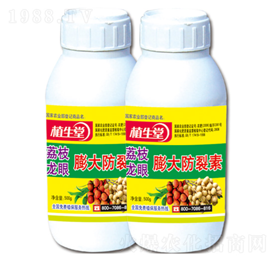 ��֦��������� ֲ���� �R������