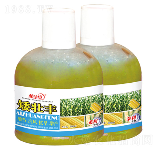 �����S ֲ���� �R������