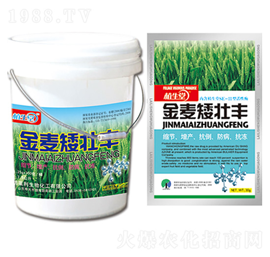 ���������S ֲ���� �R������