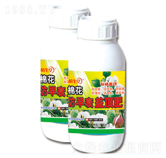 �޻�����˥�w픷� ֲ���� �R������