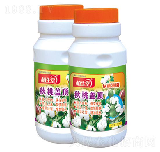 �����w� ֲ���� �R������