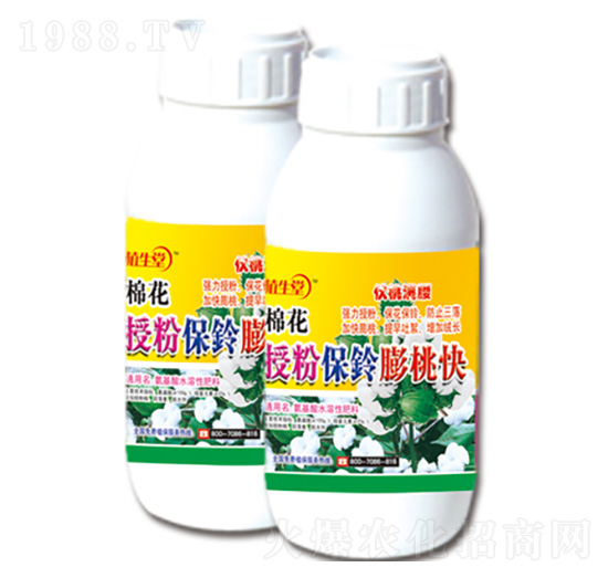 �޻��ڷ۱�����ҿ� ֲ���� �R������