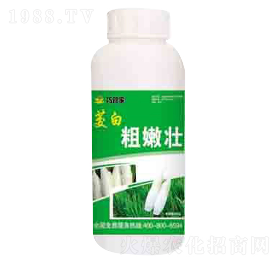 �߰״��ۉ� �ɹܼ� ����