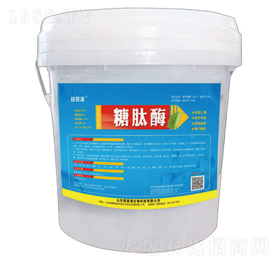 ����ø-�T���M����