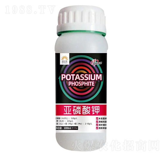 �������-�֠���(l��)