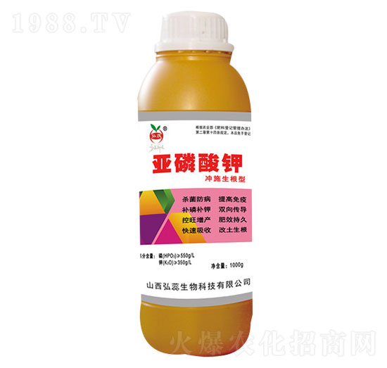 �������-����