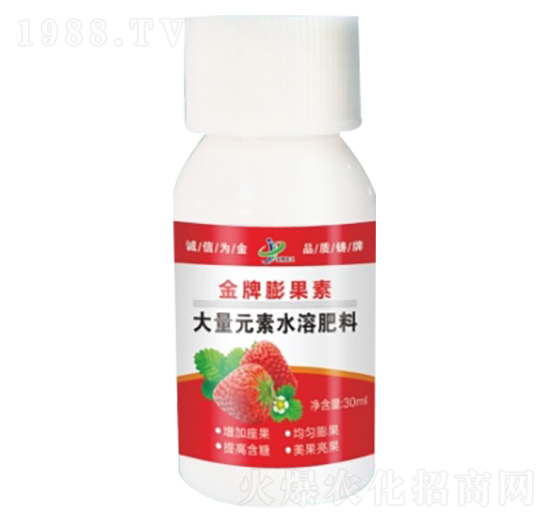 草莓專用大量元素水溶肥 金牌膨果素 金牌化工