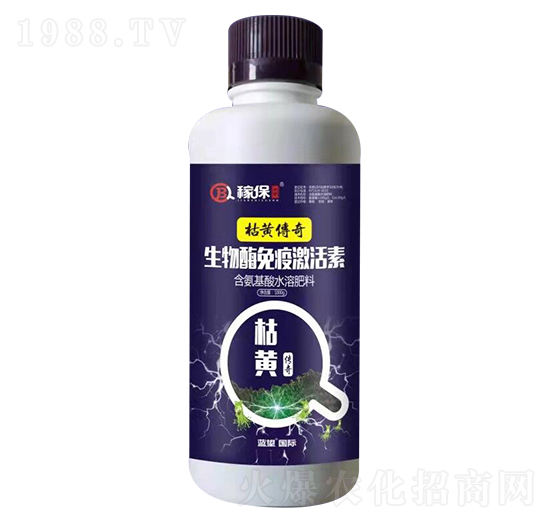 ���S���� �{(l��n)��