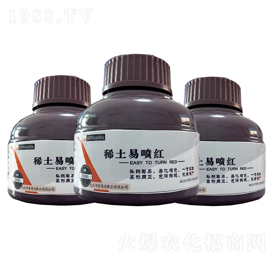 �����ׇ��t �ɊW�_(d��)