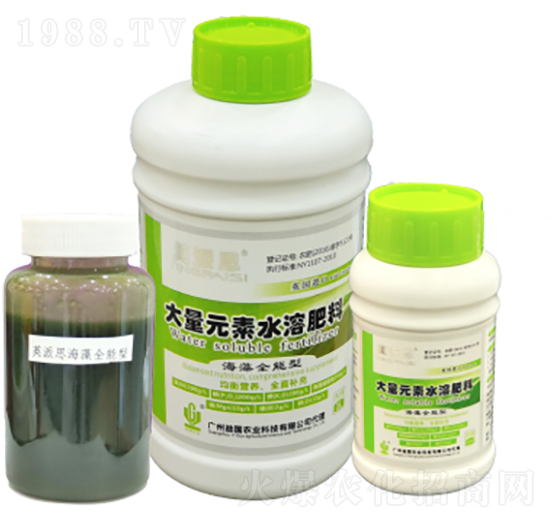 Ӣ��˼�������� ����r(n��ng)�I(y��)