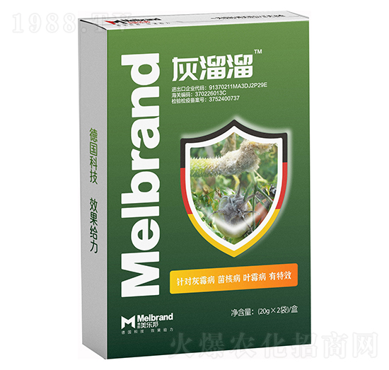 灰溜溜 美樂邦
