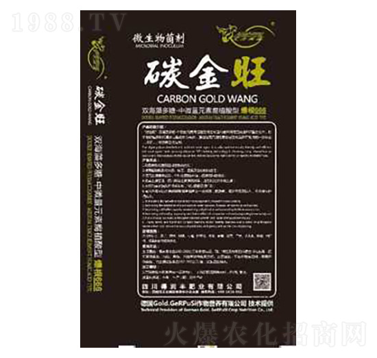 ̼���� �Ý��S